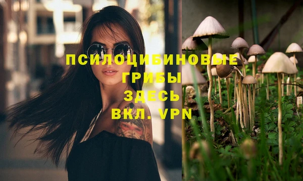 mix Вяземский