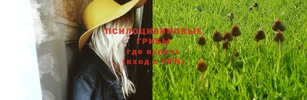 mix Вяземский